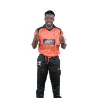 sunriserseasterncape cricket sec aya sunrisers Sticker
