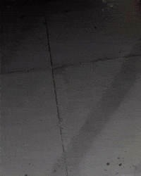 David Dvd GIF
