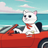 Driving Road Trip GIF