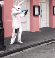 New Orleans Louisiana GIF