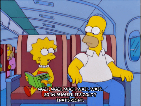 homer simpson GIF