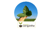 sementescerquinha seeds sementes cerquinha Sticker