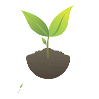 sementescerquinha plant sementes cerquinha Sticker