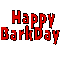 happy birthday dog Sticker by teddytakesthecity
