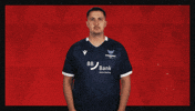 Karlsruher Sc Football GIF by Bundesliga