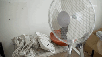 viceland GIF by Black Market