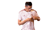 World Cup Mexico Sticker by MiSelecciónMX