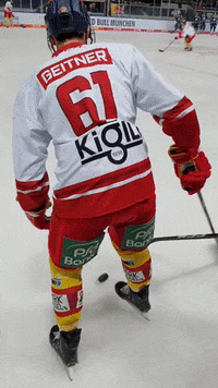 Nick Del GIF by Düsseldorfer EG