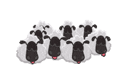 Cartoon Sleeping Sticker by 3 Palavrinhas