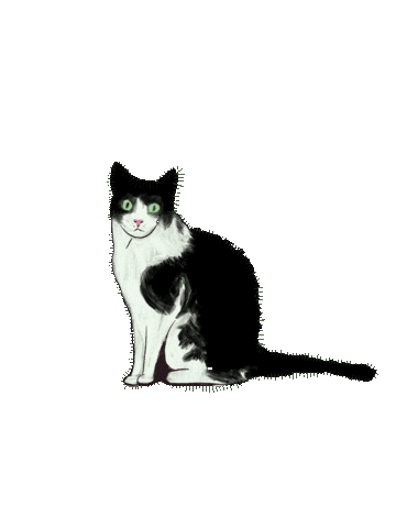 Tuxedo Cat Sticker