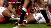 GIF by Guinness Six Nations