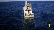 natgeochannel wicked tuna GIF
