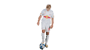 Football Sport Sticker by FC Red Bull Salzburg
