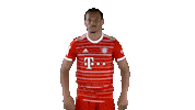 No Way Football Sticker by FC Bayern Munich