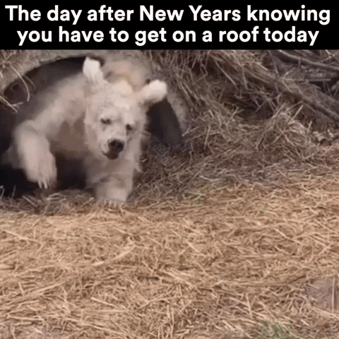 Memes4JN giphyupload new years roof crm GIF