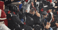 dcunited soccer futbol mls dc GIF