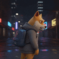 Looking Back Shiba Inu GIF by Doge Pound