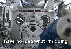 GIF 5