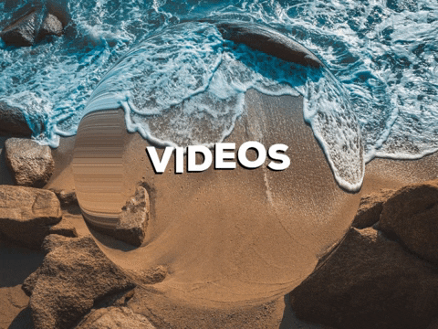 Fun Party GIF by PrivatschulenPORTAL.de