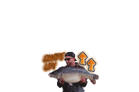 swipeup Sticker by FoxInt