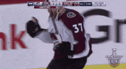 happy ice hockey GIF by NHL