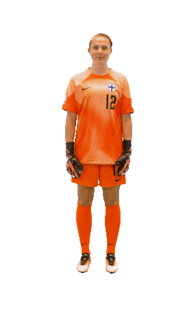 National Team Football Sticker by Suomen jalkapallo- ja futsalmaajoukkueet