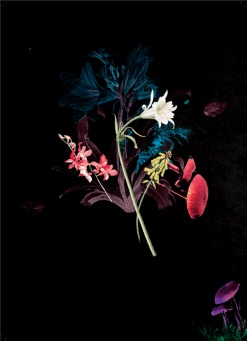 Pollencorp giphyupload GIF