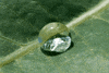 Water Ocean GIF