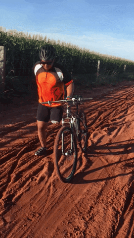 vidaadaptada giphyupload GIF