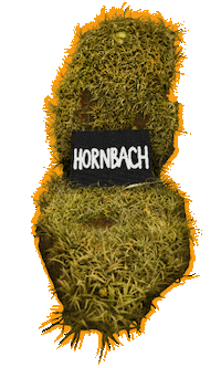 Plant Diy Sticker by HORNBACH