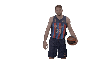 Liga Endesa Basketball Sticker by ACB