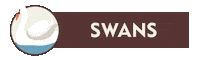22StreetLane swans 22 street lane nursery 22sln logo 22 street lane nursery branding Sticker