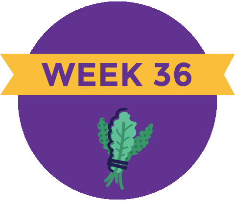 Pregnancy Baby Size Sticker by What to Expect