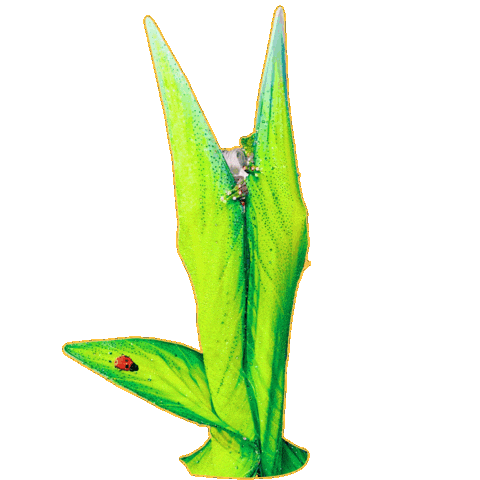 Greta Sticker by La Más Draga