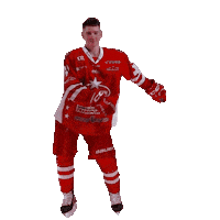 U18 Happy Dance Sticker by StjernenHockey