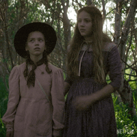 Look At That Little House On The Prairie GIF by NETFLIX