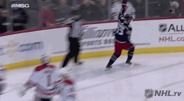 happy ice hockey GIF by NHL