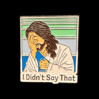 Face Facepalm GIF by Pinned Pins