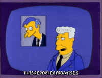 Season 3 Newscast GIF by The Simpsons