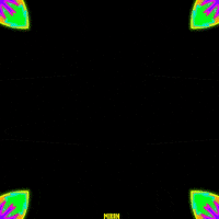 Animation Loop GIF by Miron