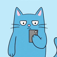 Cat Animation GIF