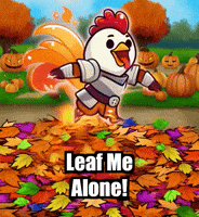 Fall Autumn GIF by Zorooster