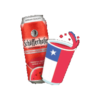 Beer Cerveza Sticker by Pibamour