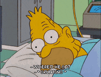 homer simpson GIF