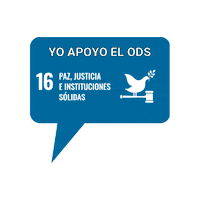 United Nations Paz Sticker by ONU Venezuela