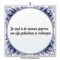 Humor Reflectie GIF by Tegelspreuken.nl