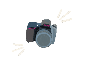 itsremyphotos camera remy itsremyphotos remyphotography Sticker