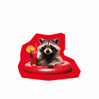 Cocktail Racoon GIF by Deutscher Gewerkschaftsbund (DGB)