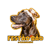 Dog Sticker