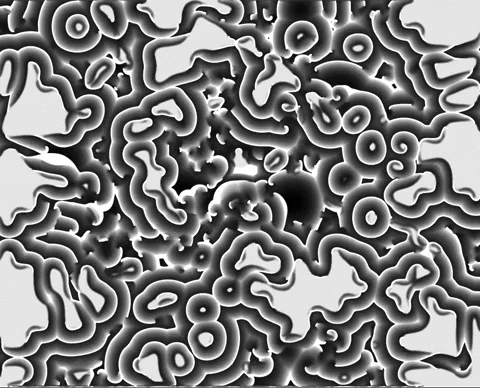 deerstreet giphyupload bw processing generative GIF